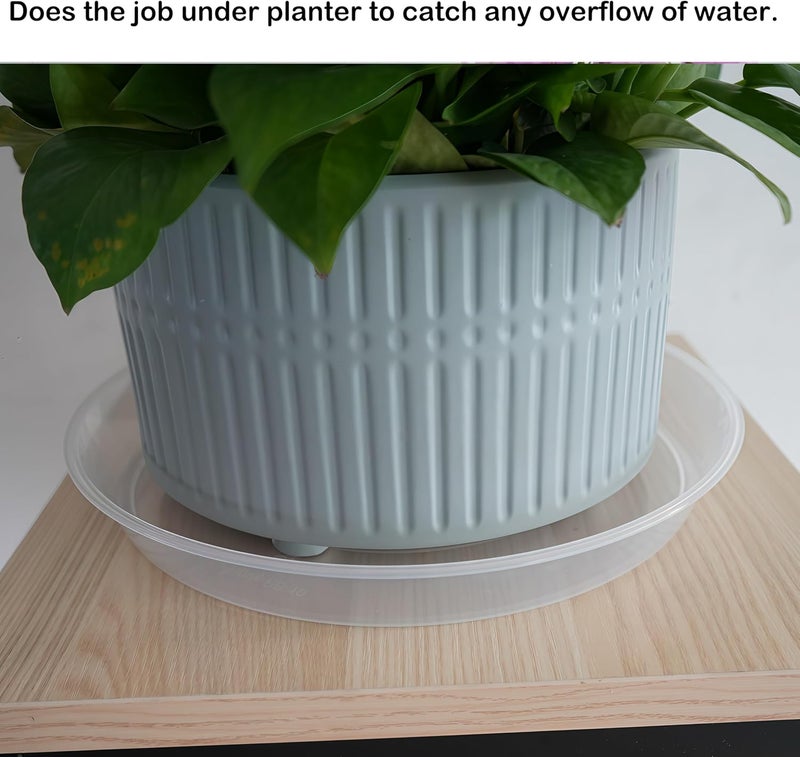 LWALRS Plant Saucer Tray 8 inch, 6 Pack Plastic Plant Saucers for Indoors Outdoor, Heavy Duty Drainage Drip Water Trays for Planter Pots Flower, Flower Saucers for Pots Base (8", Clear) - Image 5